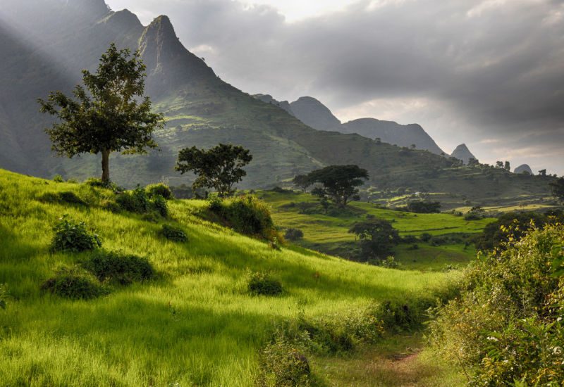 Lush Ethiopian countryside Green fields in Ethiopia with mountain peaks rising behind